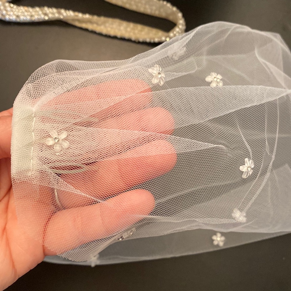 Raw edge birdcage veil